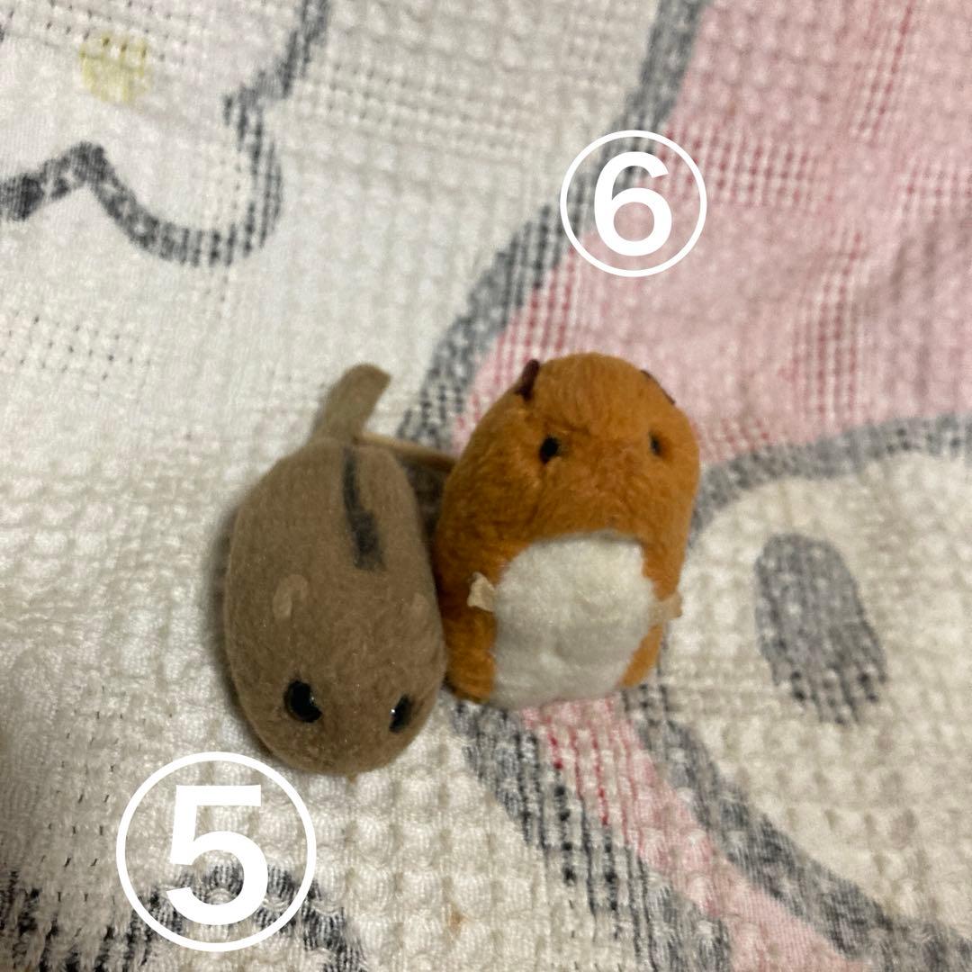 やまね工房　ぬいぐるみ　7コセット　中古品　落合けいこ