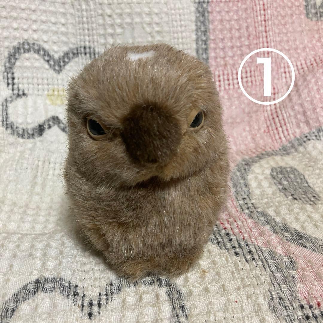 やまね工房　ぬいぐるみ　7コセット　中古品　落合けいこ