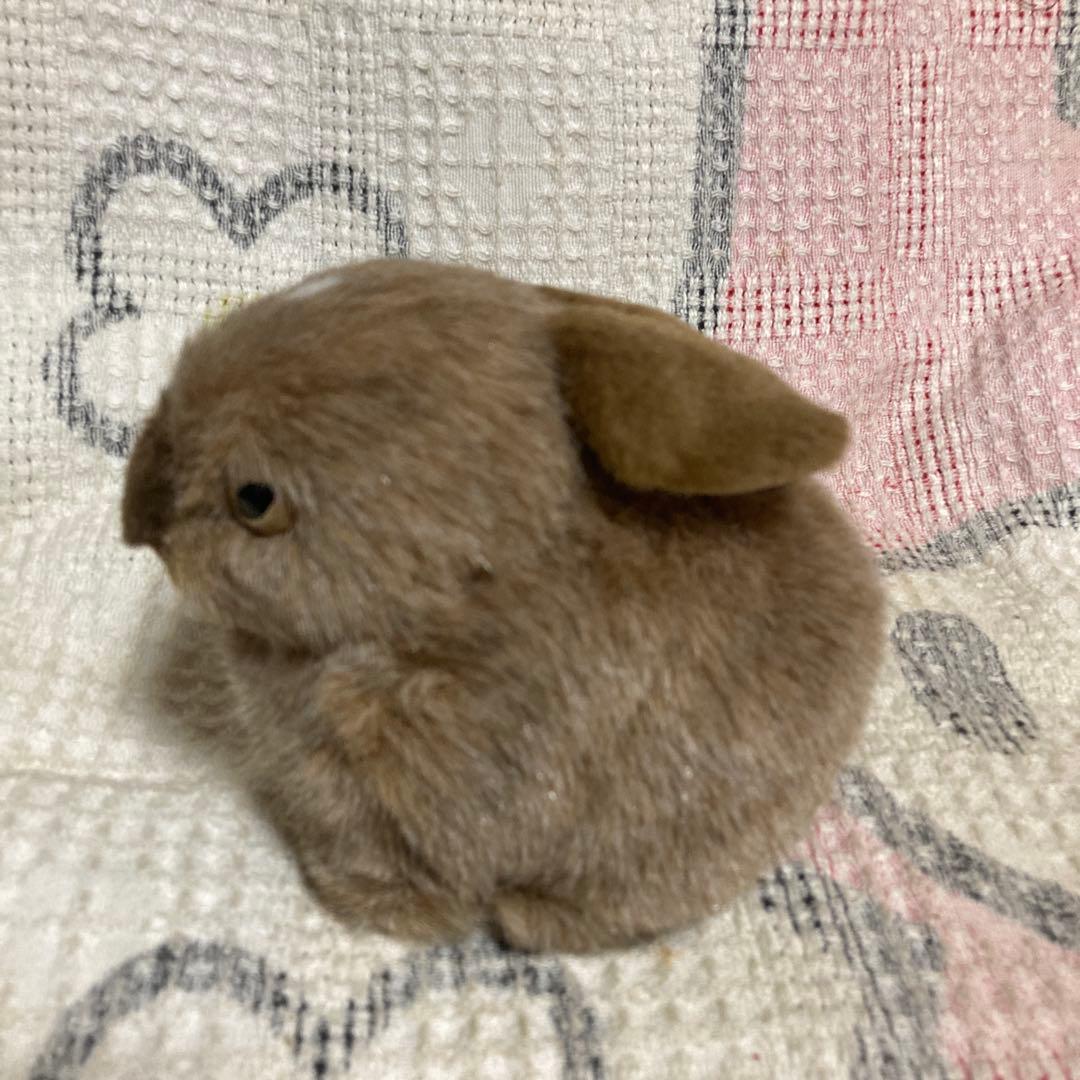 やまね工房　ぬいぐるみ　7コセット　中古品　落合けいこ