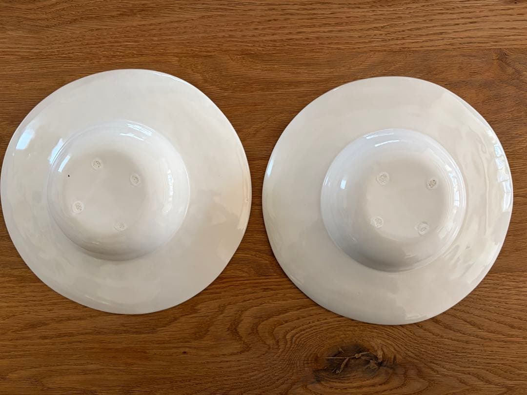 田中直純 パスタ皿 リム皿 2枚セット