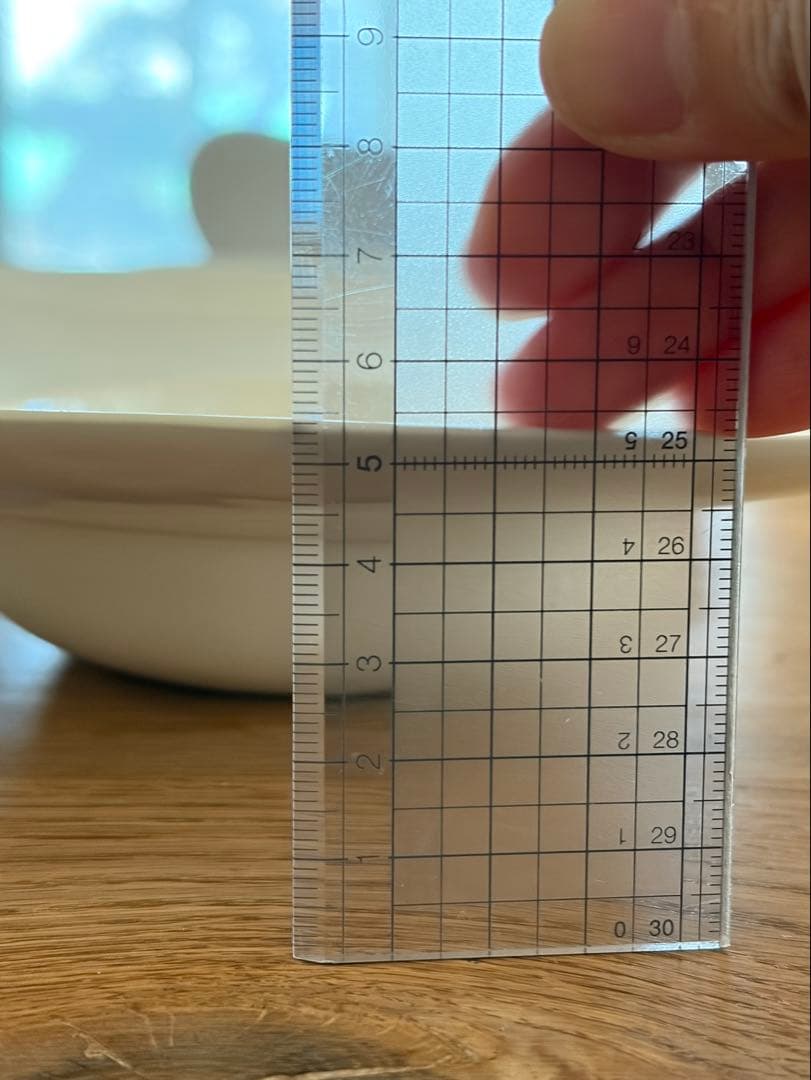 田中直純 パスタ皿 リム皿 2枚セット