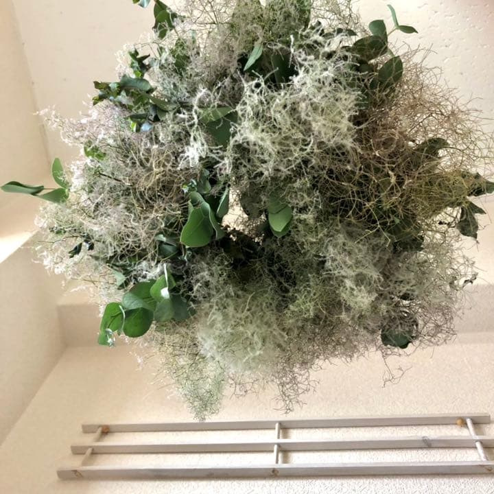 スモークツリーとユーカリのフライングリース