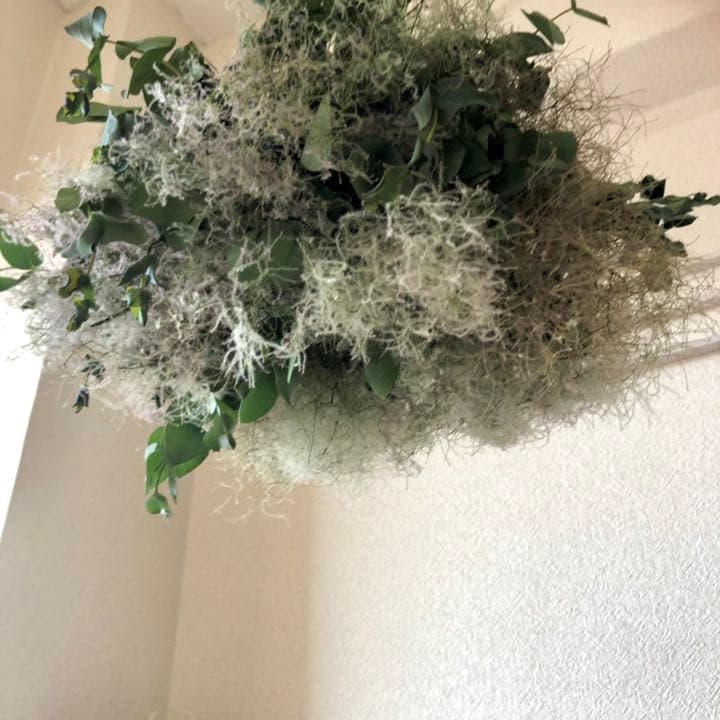 スモークツリーとユーカリのフライングリース