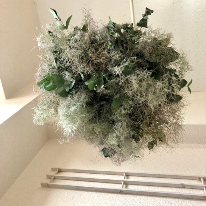 スモークツリーとユーカリのフライングリース