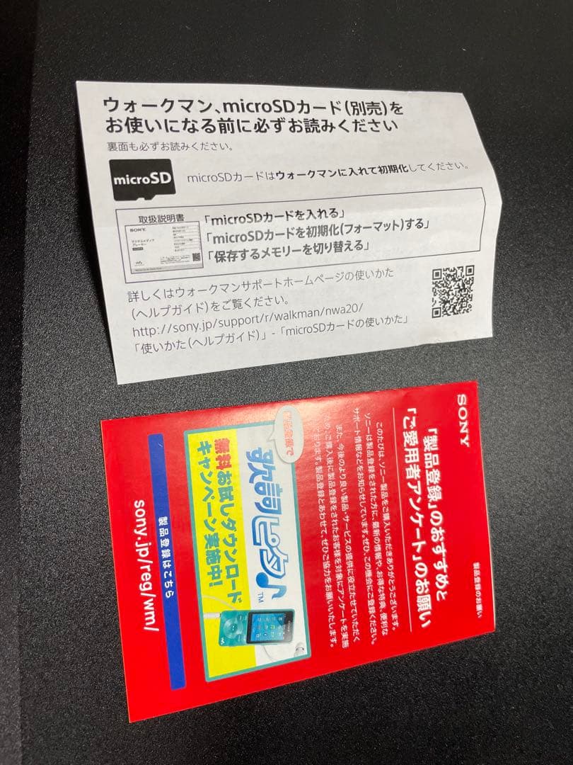 SONY ウォークマン NW-A25 ビリジアンブルー