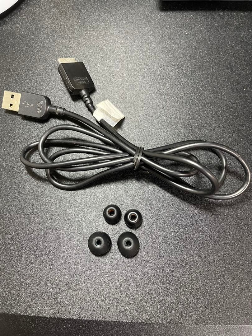 SONY ウォークマン NW-A25 ビリジアンブルー