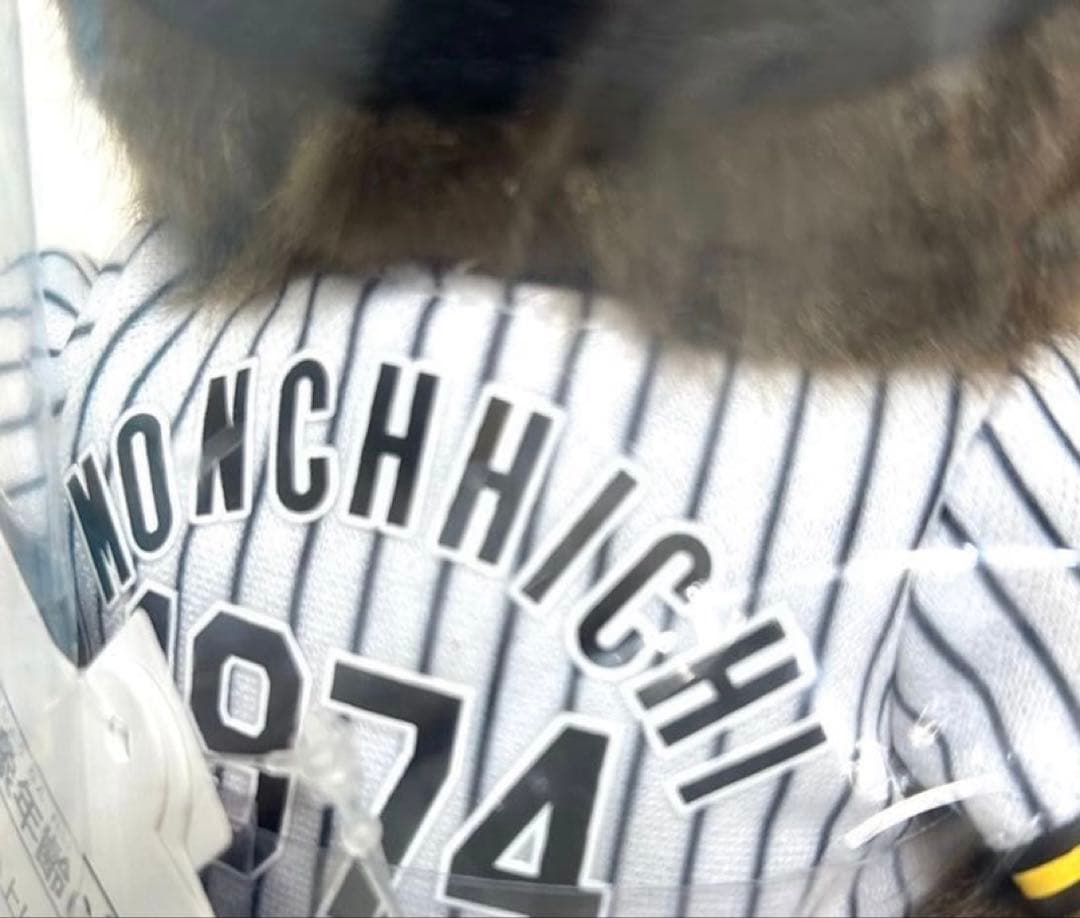 【阪神タイガース】モンチッチ　【希少】