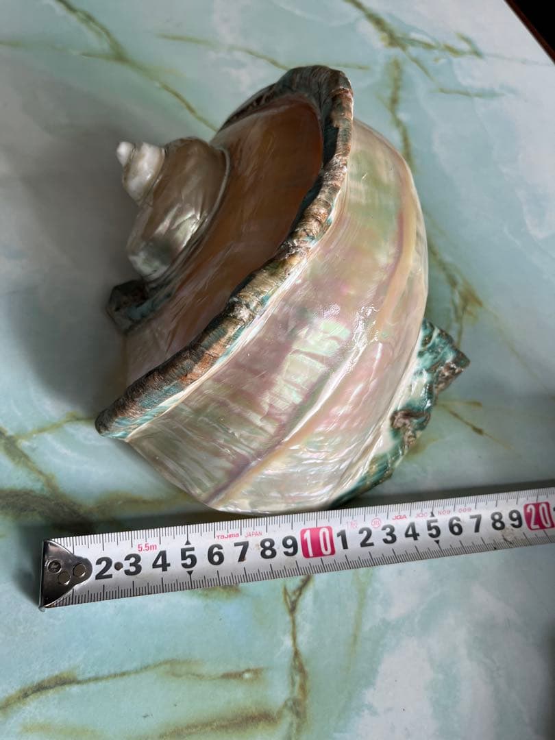 【一点物】座間味島で磨いた夜光貝 沖縄の海 ヒーリングインテリア【魔除け 開運】