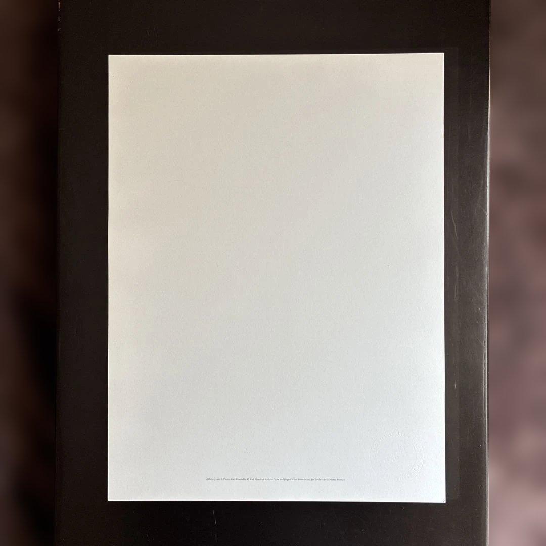 【財団公式ライセンス】カールブロスフェルト アートプリント 【スタンプ刻印あり】