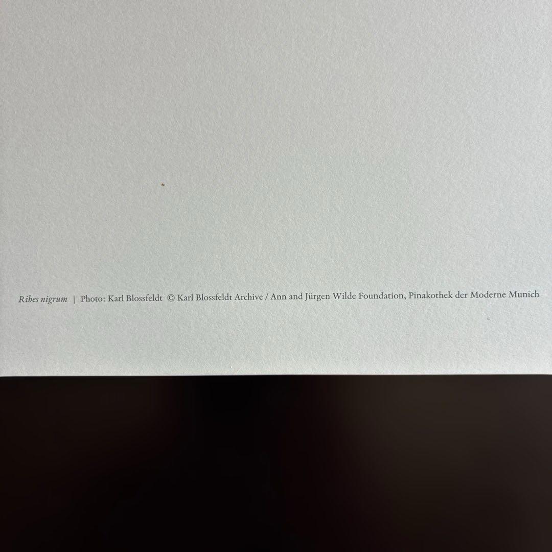 【財団公式ライセンス】カールブロスフェルト アートプリント 【スタンプ刻印あり】