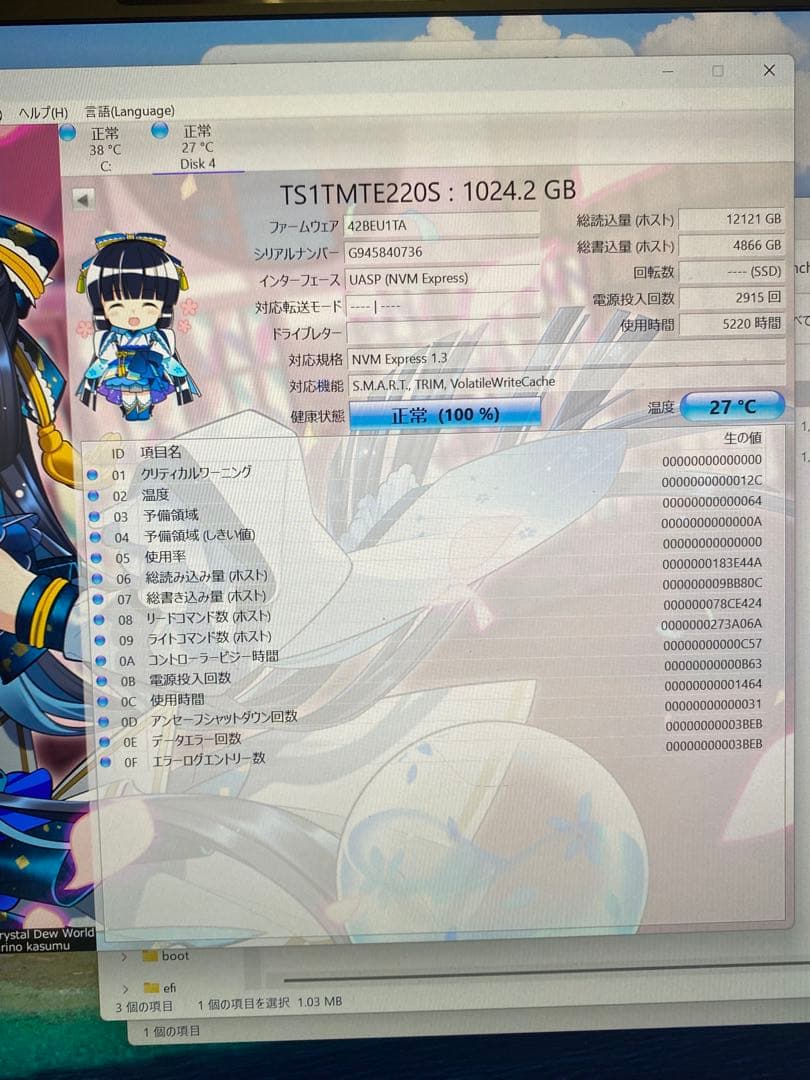 Mac Pro 2019用 Transcend TS1TMTE220S 1024