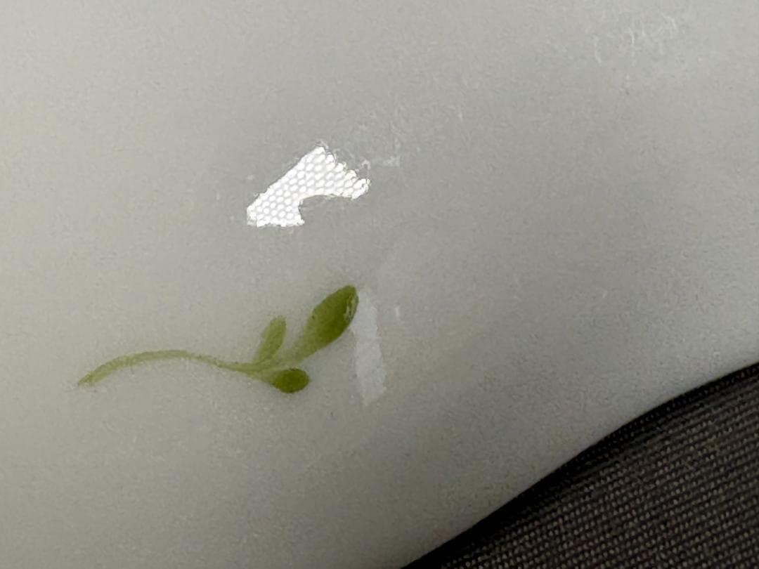 ヘレンド Herend プレート 花柄波形エッジ皿 ハンガリー