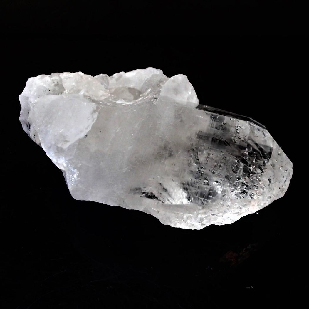 値下しました！ティップリン産ポイント-100-1