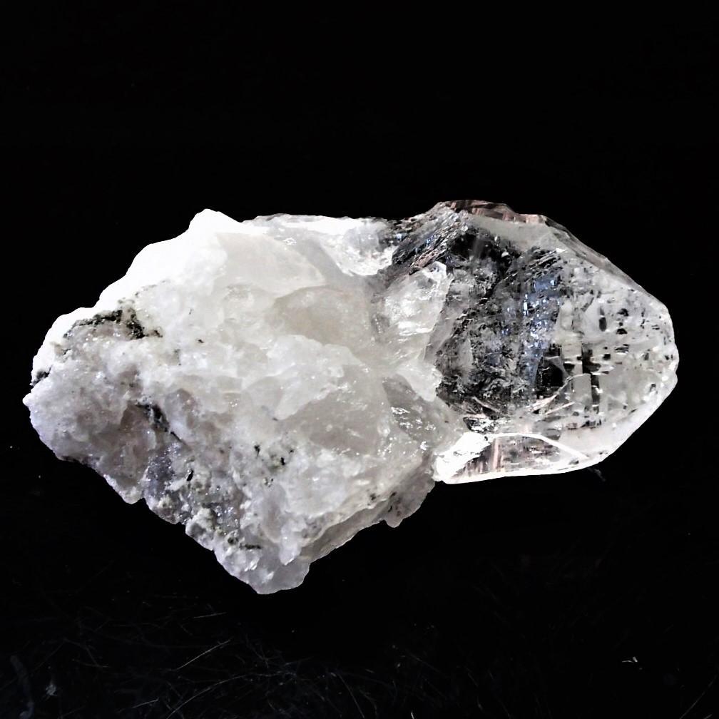 値下しました！ティップリン産ポイント-100-1