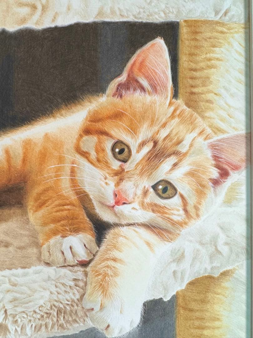 原画　色鉛筆画　猫　A4サイズ 手描き　額縁付き イラスト