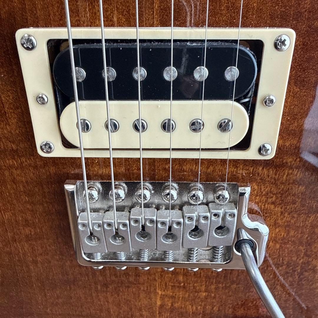 PRS SE Custom24 Black Gold Burst ロックペグ付き