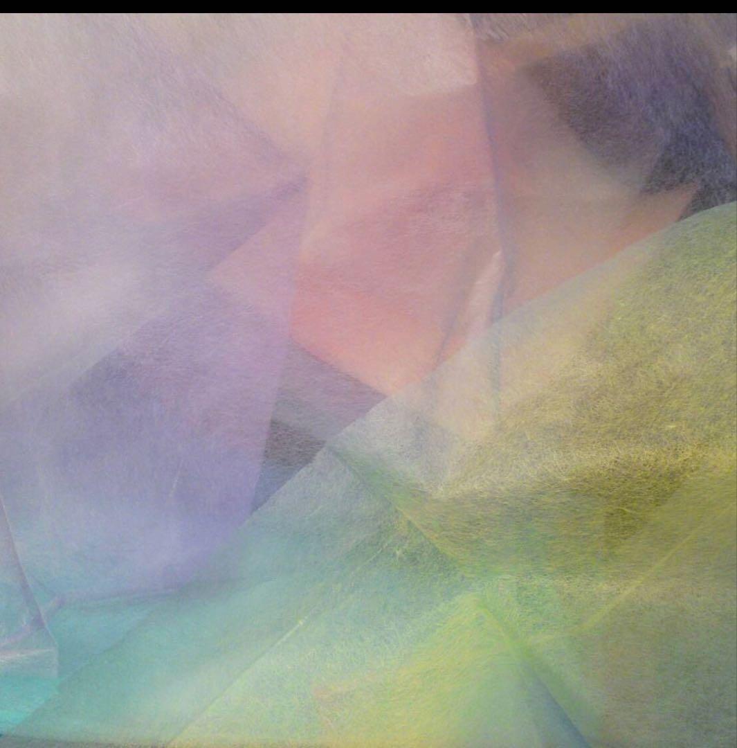 典具和紙彩画　松島比呂子 日本画特殊　木製銀色額付き