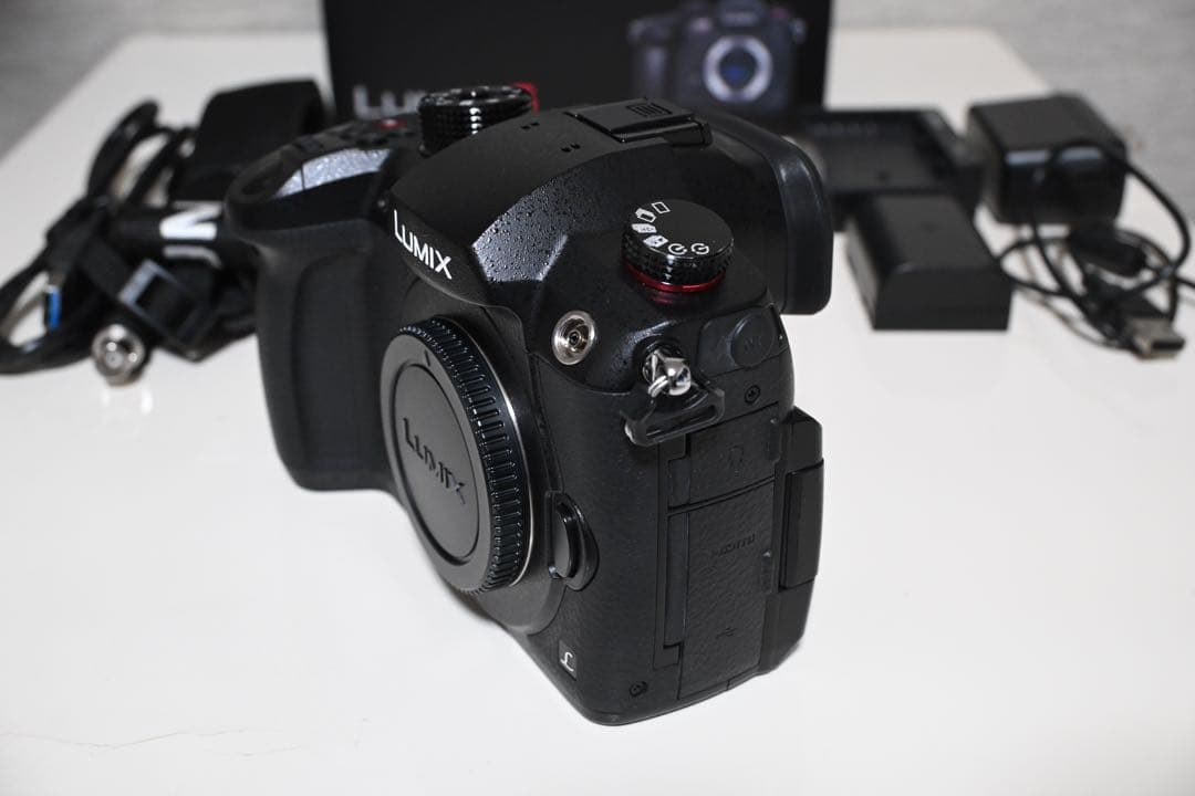 Panasonic パナソニック GH5S DC-GH5S 付属品・箱付き