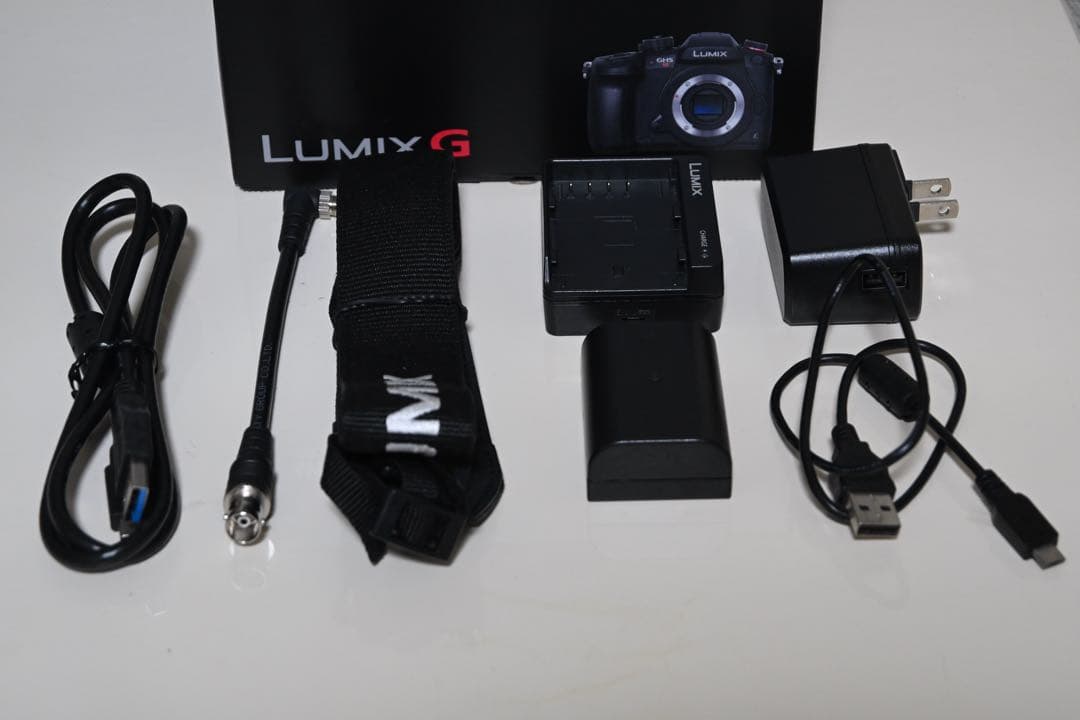 Panasonic パナソニック GH5S DC-GH5S 付属品・箱付き