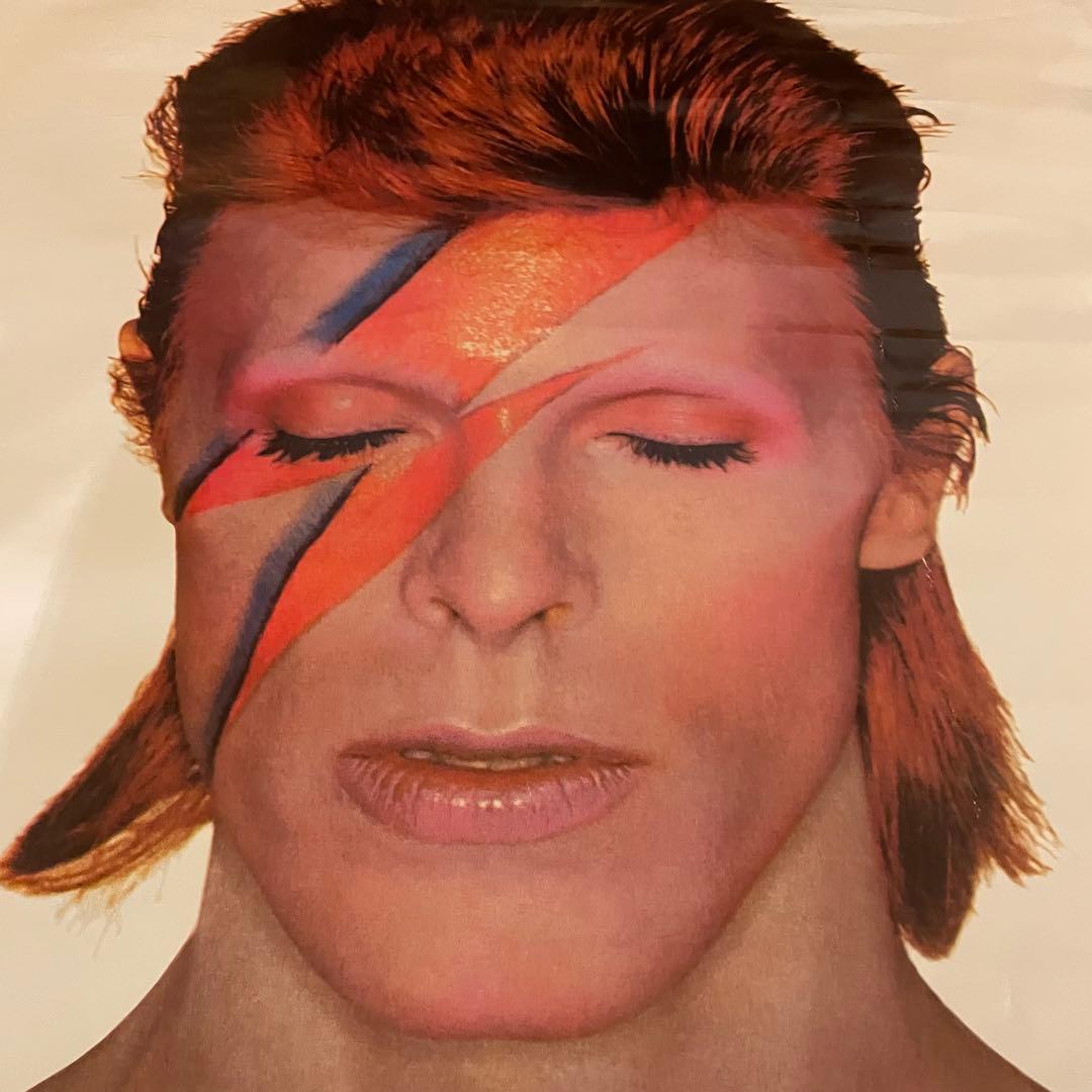 ヒロムハーツ 00s デッドストック DAVID BOWIE 大判ポスター