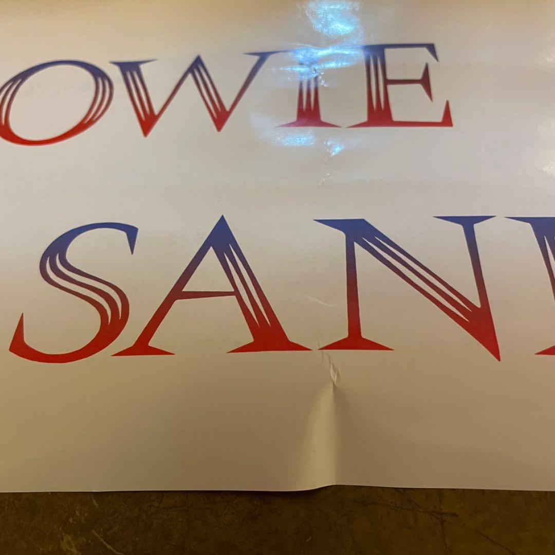 ヒロムハーツ 00s デッドストック DAVID BOWIE 大判ポスター