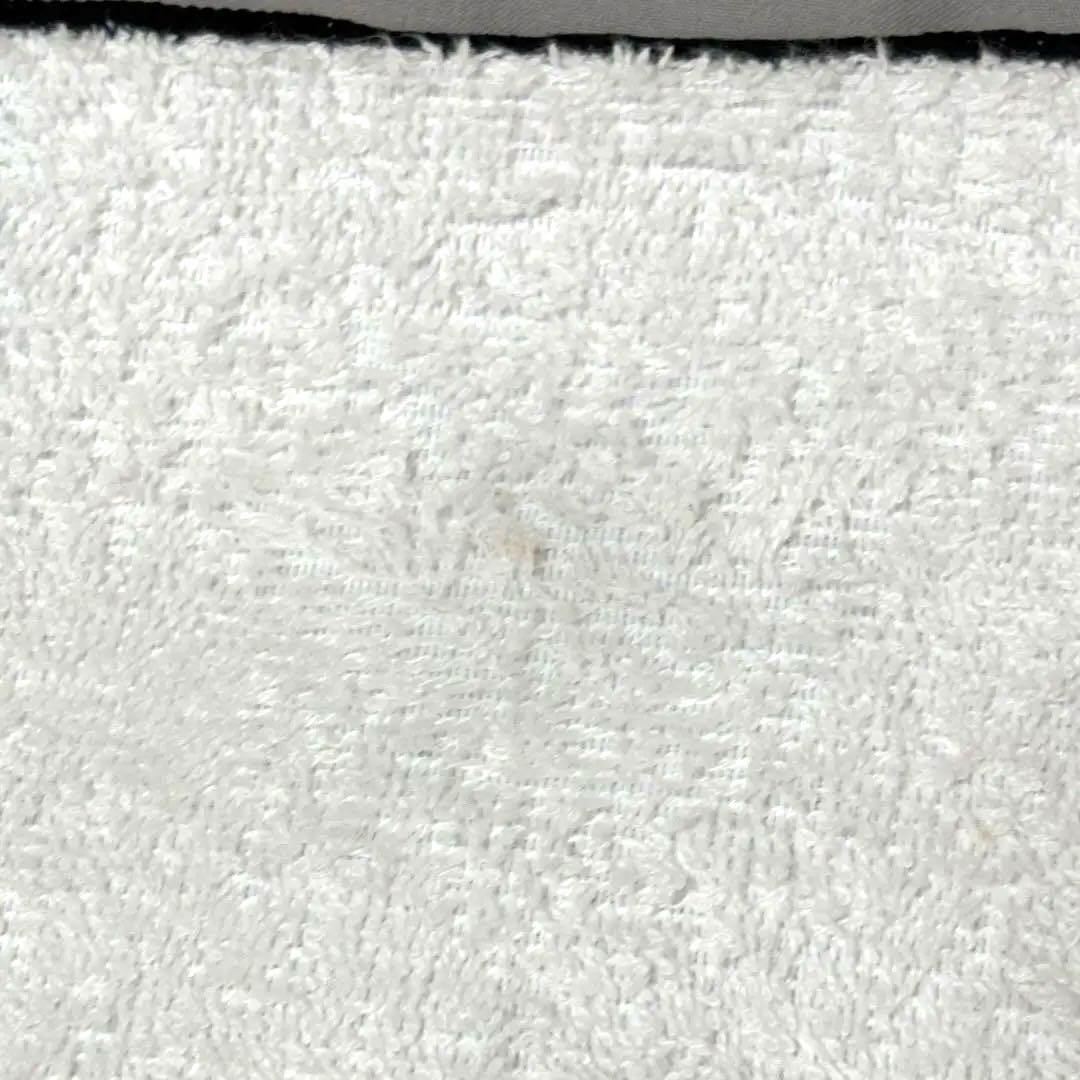 【薄い汚れあり】鬼滅の刃 柱展 柱描き下ろしイラスト 大判タオル 時透無一郎