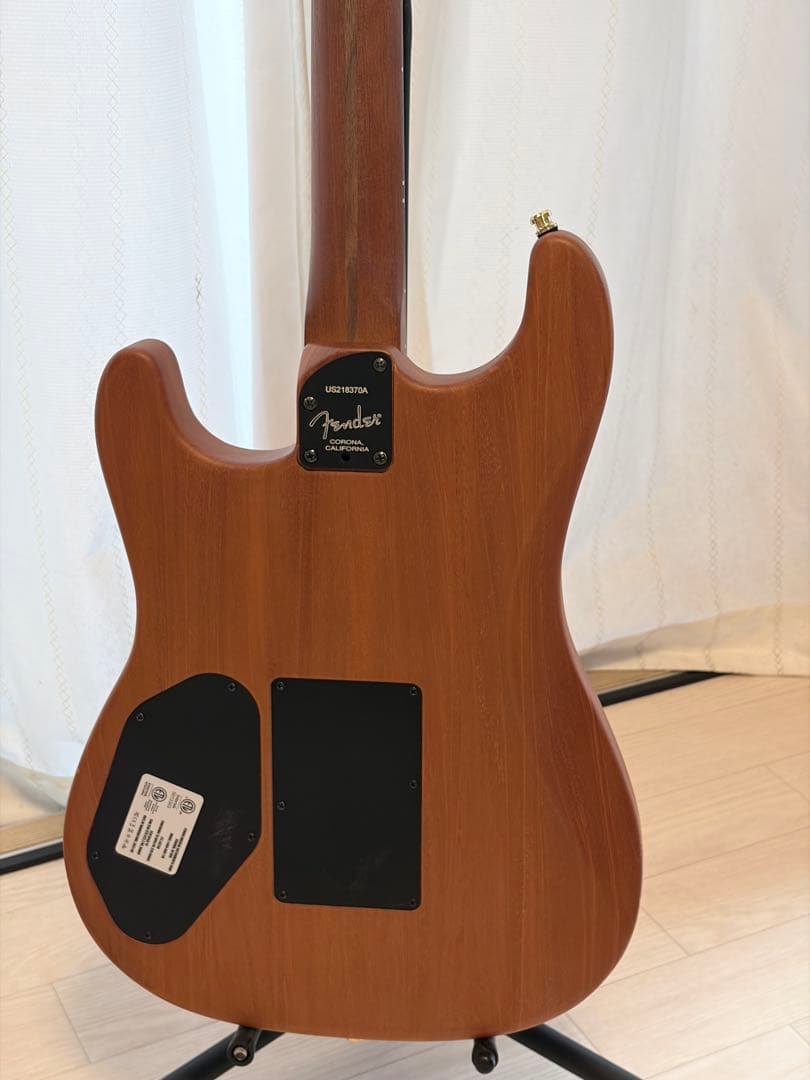 fender Acoustasonic Stratcaster ロックピン&ペグ