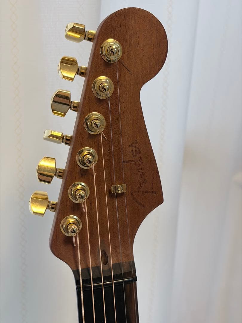 fender Acoustasonic Stratcaster ロックピン&ペグ