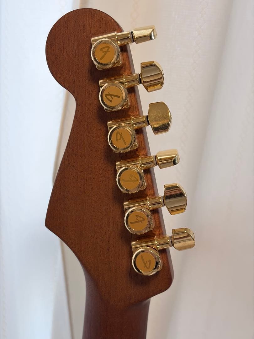 fender Acoustasonic Stratcaster ロックピン&ペグ