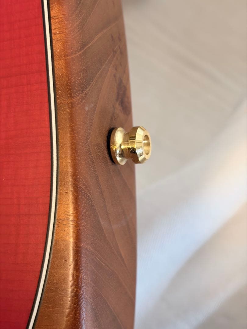 fender Acoustasonic Stratcaster ロックピン&ペグ