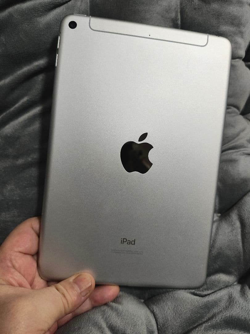 Apple iPad mini5 64G ジャンク　液晶不良