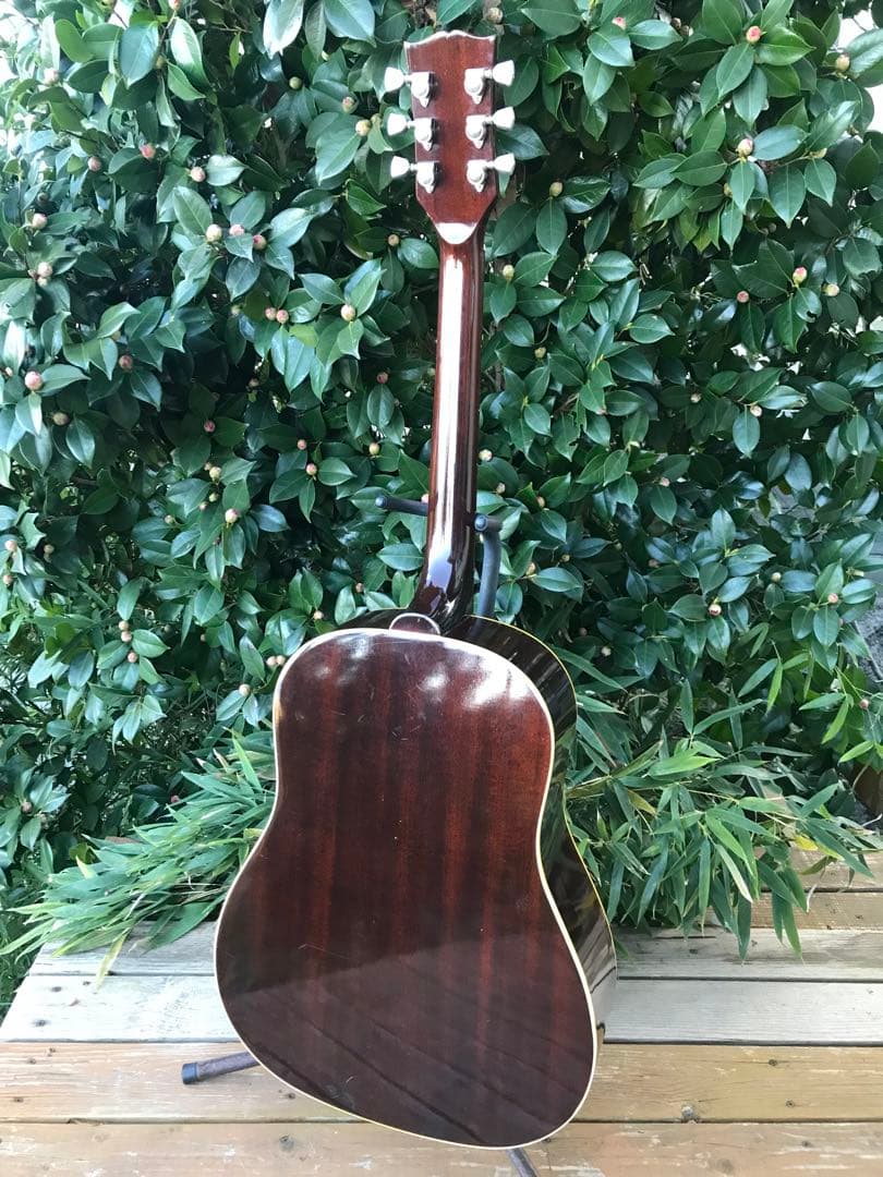 Burny BJ-60 バーニー