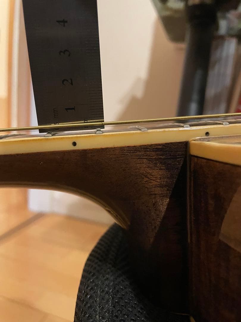 Tokai TEA-02S エレクトリックアコースティックギター