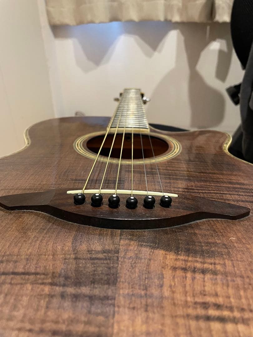 Tokai TEA-02S エレクトリックアコースティックギター