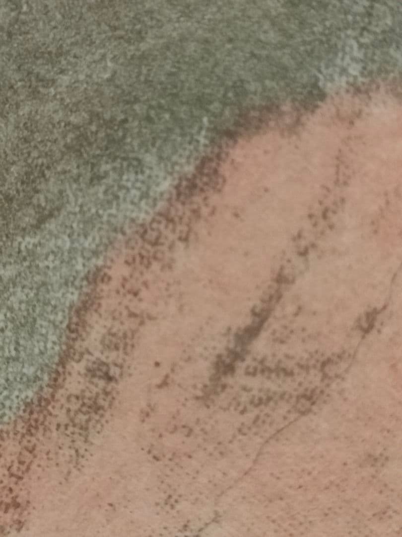 リ*コ様 マリーローランサンのリトグラフ