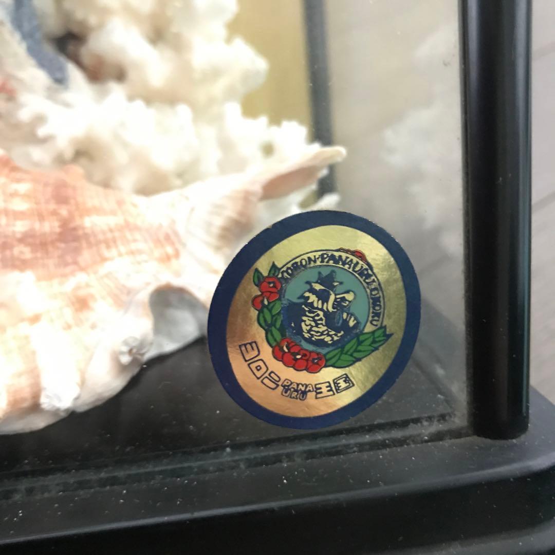 珊瑚　サンゴ　さんご　珊瑚の置物