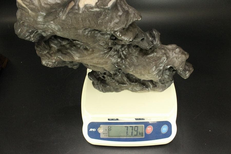 太湖石 馬姿石 鑑賞 盆石 霊璧石 希少 中国美術(ZE777)