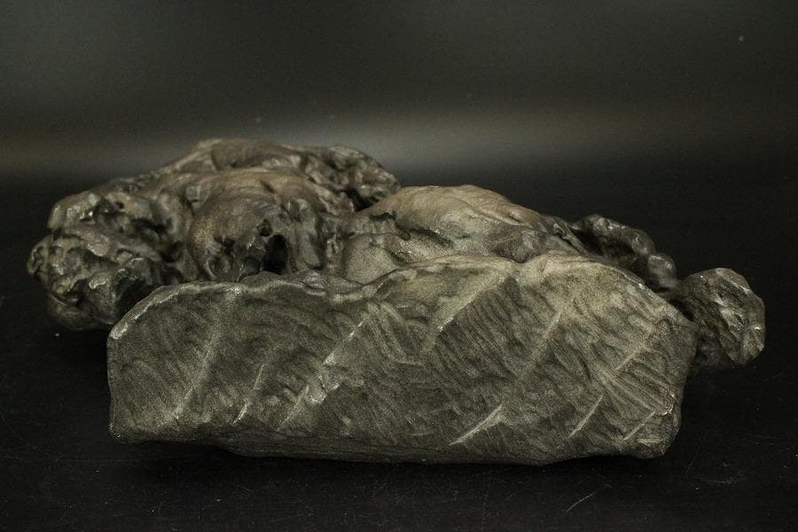 太湖石 馬姿石 鑑賞 盆石 霊璧石 希少 中国美術(ZE777)