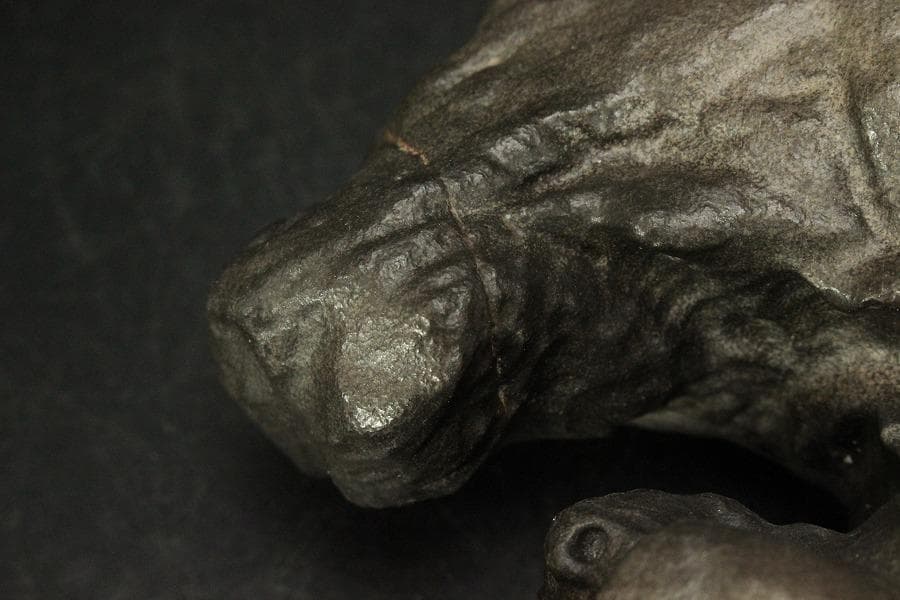 太湖石 馬姿石 鑑賞 盆石 霊璧石 希少 中国美術(ZE777)