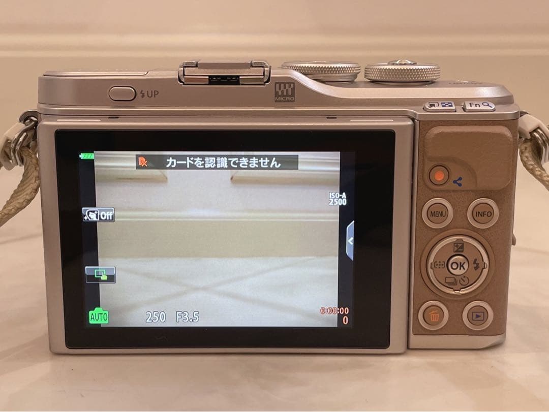 OLYMPUS PEN E-PL10 オリンパス ミラーレス 一眼レフ 付属多数