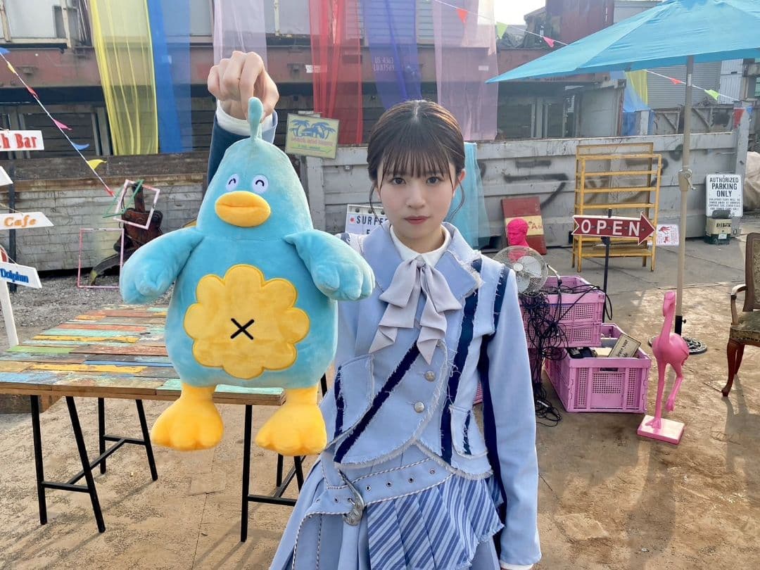 【中サイズ】日向坂46 ポカ ぬいぐるみ ケープ ver