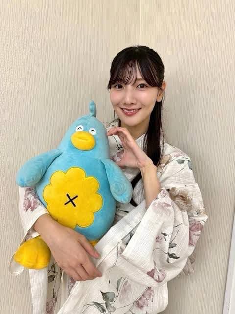 【中サイズ】日向坂46 ポカ ぬいぐるみ ケープ ver