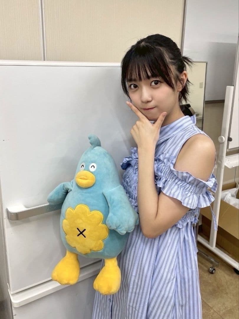 【中サイズ】日向坂46 ポカ ぬいぐるみ ケープ ver