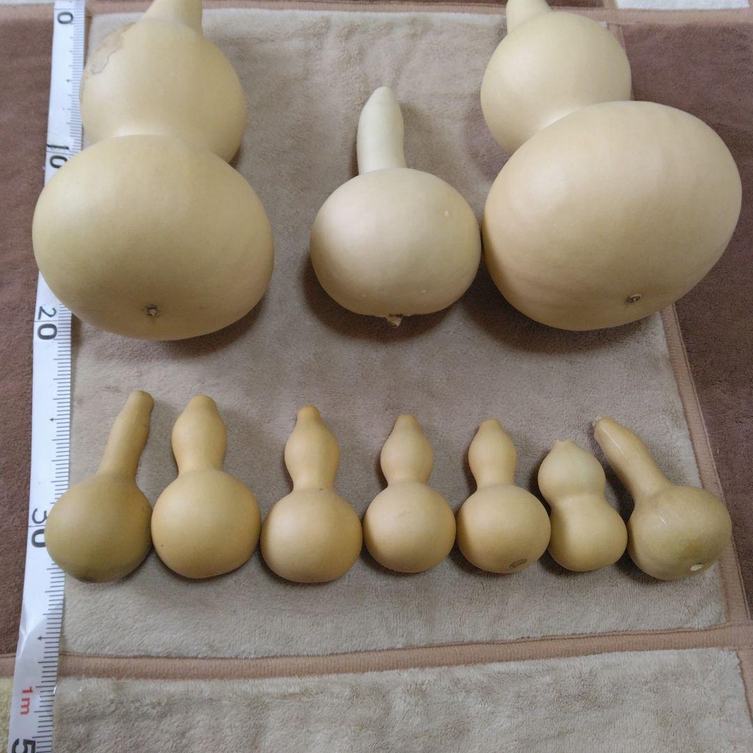 ひょうたん形色々10こセット