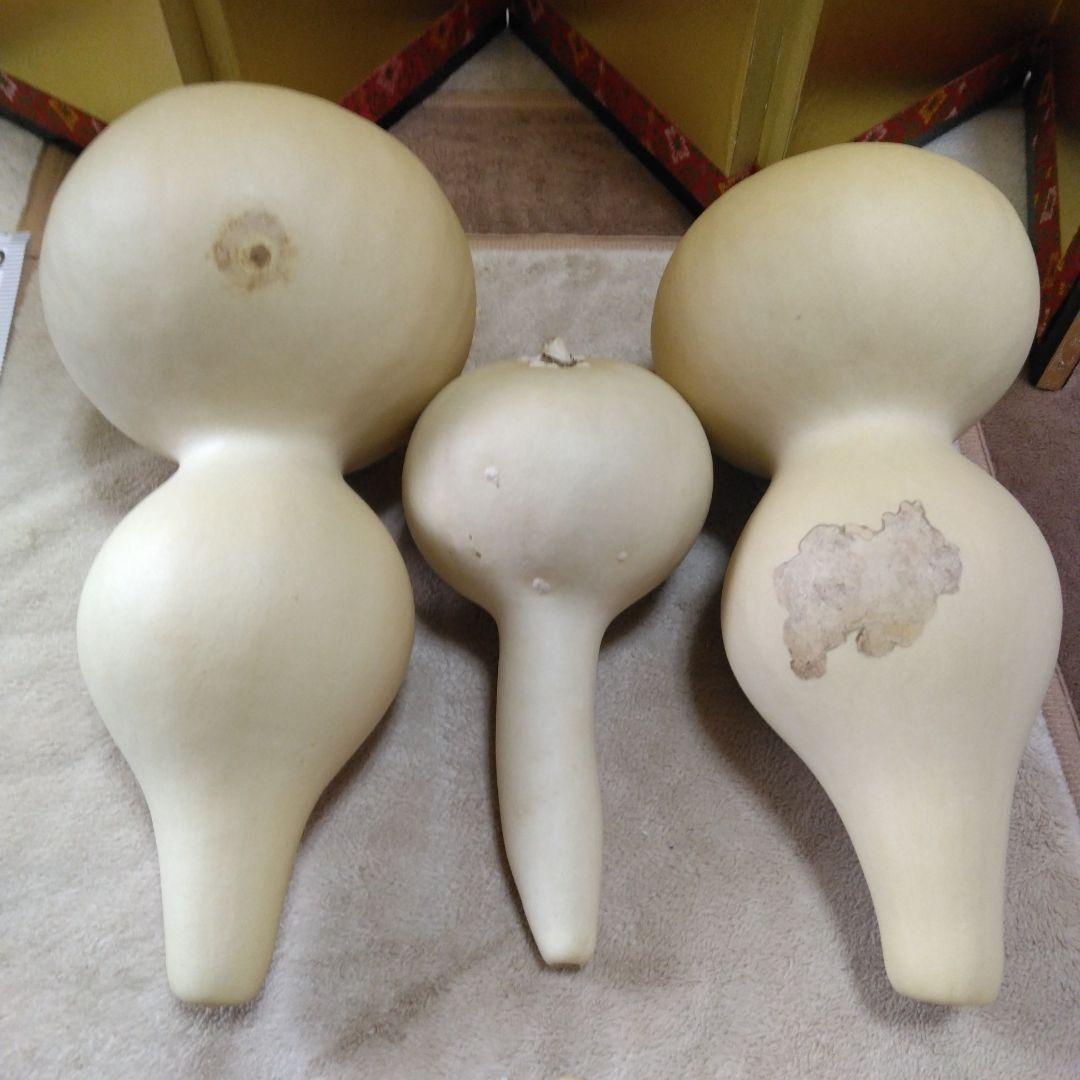 ひょうたん形色々10こセット