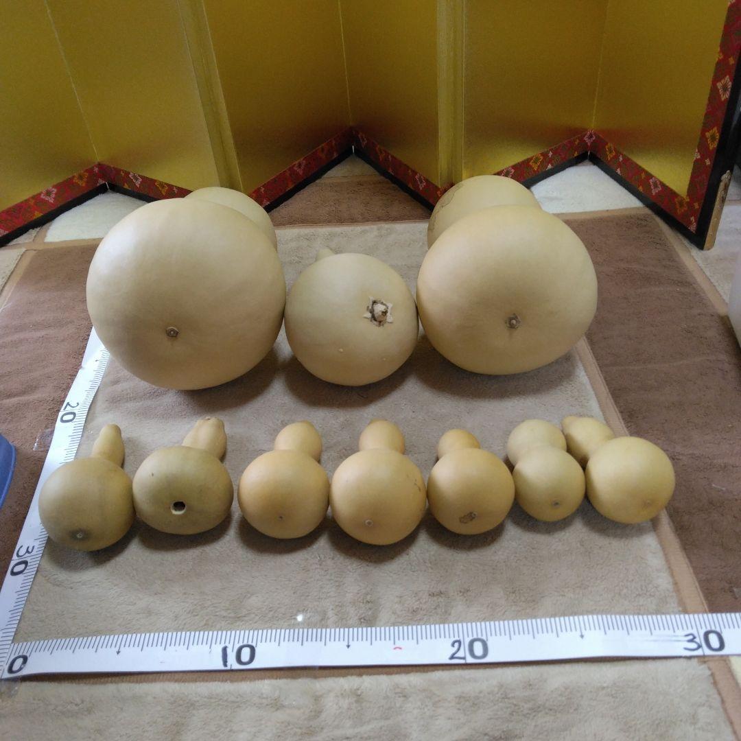 ひょうたん形色々10こセット