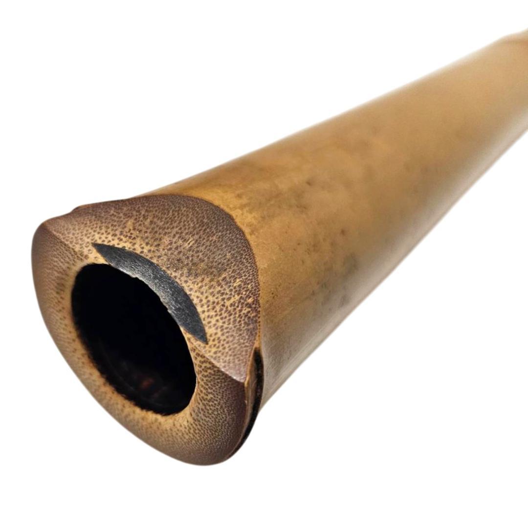 尺八 都山流 1尺8寸 5孔 D調 太管 根付 二分割 和楽器 竹 黒継ぎ輪