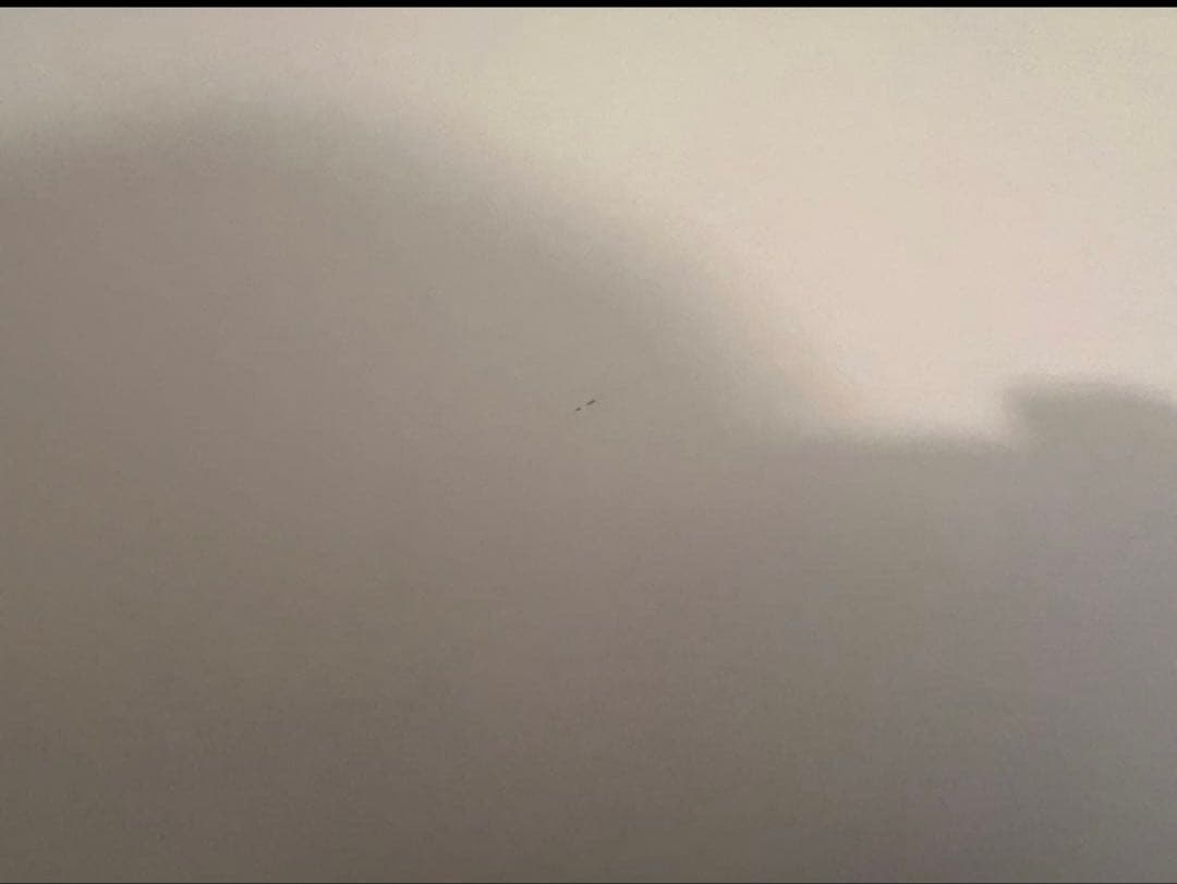 【美品/即日発送】木製チェスト ニトリ　日本製※値下げ不可