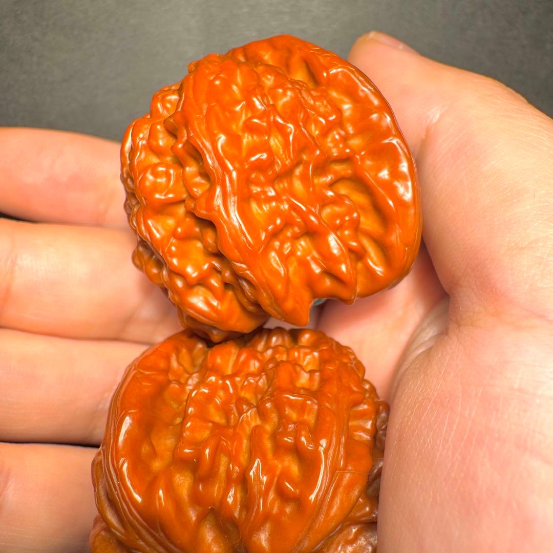 【秘蔵出品】遊びクルミ•白獅子42mm•2年経年変化玉化•ターコイズと金線象嵌