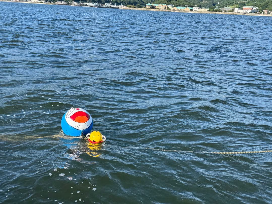 達磨 浮標